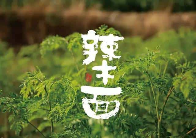 面粉、面条创意包装设计合集 第181张 面粉、面条创意包装设计合集 第181张