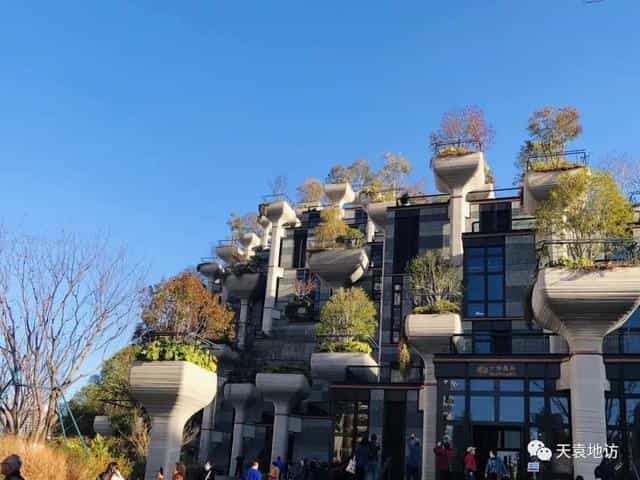 沪说_那个我们期待的空中花园终于开业了 第39张 沪说_那个我们期待的空中花园终于开业了 第39张