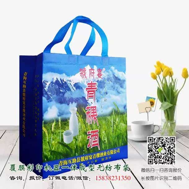 一次成型立体无纺布袋与手工缝纫手提袋的区别(附视频及产品展示) 第9张 一次成型立体无纺布袋与手工缝纫手提袋的区别(附视频及产品展示) 第9张