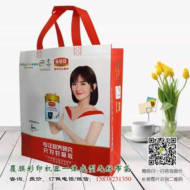 一次成型立体无纺布袋与手工缝纫手提袋的区别(附视频及产品展示) 第11张 一次成型立体无纺布袋与手工缝纫手提袋的区别(附视频及产品展示) 第11张
