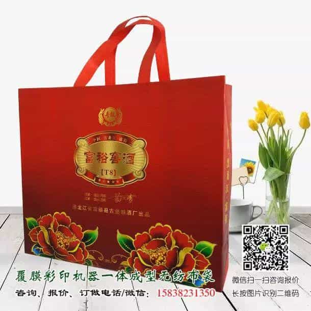 一次成型立体无纺布袋与手工缝纫手提袋的区别(附视频及产品展示) 第12张 一次成型立体无纺布袋与手工缝纫手提袋的区别(附视频及产品展示) 第12张