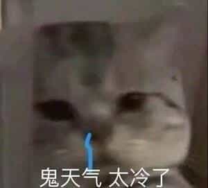 为何大米一般都是真空包装,而面粉不是? 第30张 为何大米一般都是真空包装,而面粉不是? 第30张