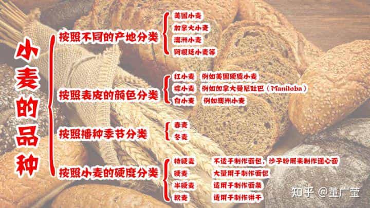 一文读懂小麦的种类,面粉的特性以及分类,制作某种西点用哪种面粉 第4张 一文读懂小麦的种类,面粉的特性以及分类,制作某种西点用哪种面粉 第4张