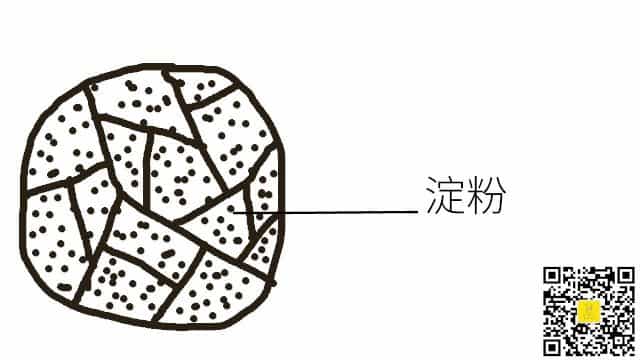 烘焙笔记—面粉成分大解析 第10张 烘焙笔记—面粉成分大解析 第10张