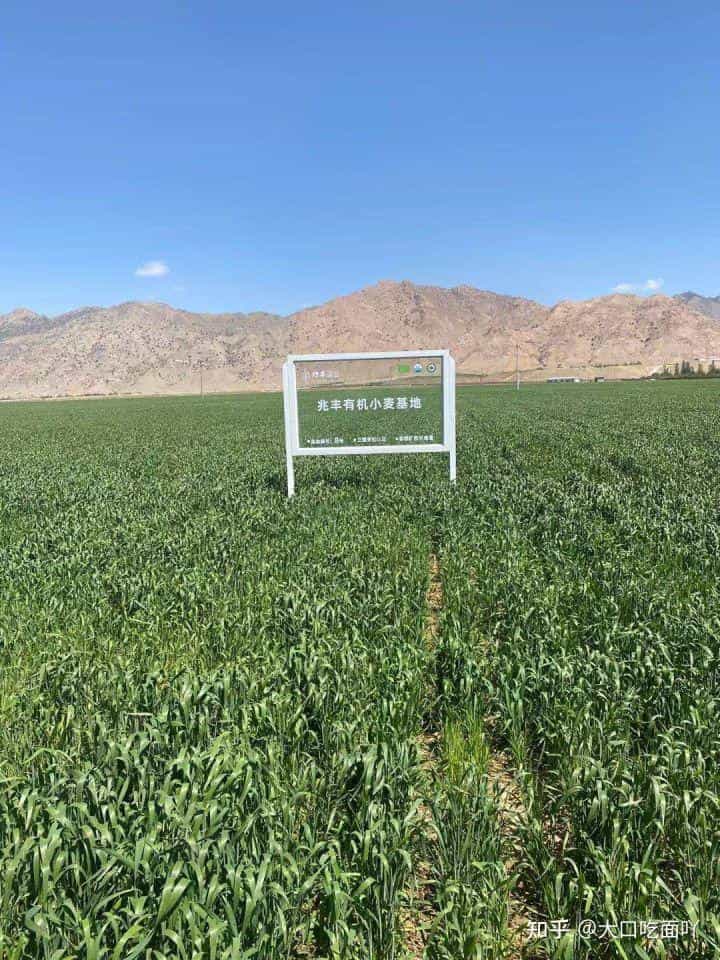 最新出炉的十大新锐面粉品牌排名 第2张 最新出炉的十大新锐面粉品牌排名 第2张