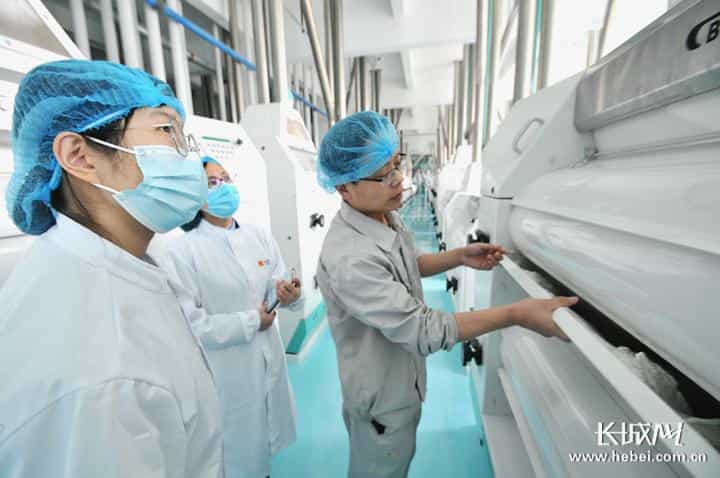 柏乡县_税收服务助面粉企业创新发展 第1张 柏乡县_税收服务助面粉企业创新发展 第1张
