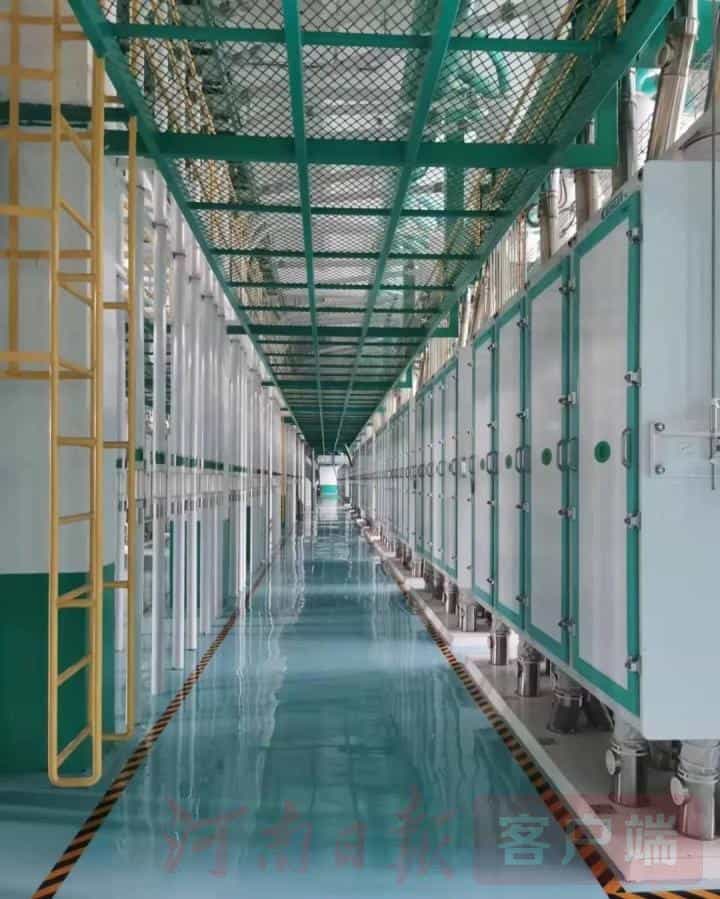 整体日处理小麦6000吨--五得利集团商丘面粉有限公司二期投产 第2张 整体日处理小麦6000吨--五得利集团商丘面粉有限公司二期投产 第2张