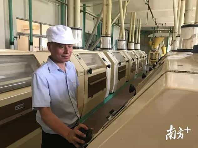 近百人饭碗、全省面粉供应……面对问题厂,江门中院助力粮袋子“活... 第1张 近百人饭碗、全省面粉供应……面对问题厂,江门中院助力粮袋子“活... 第1张
