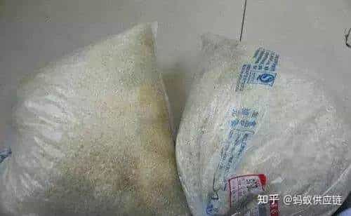 这该死的可爱大米袋 第6张 这该死的可爱大米袋 第6张