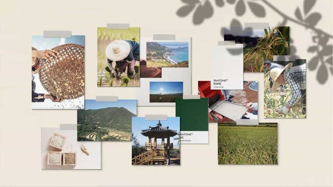 风格迥异各有千秋的大米创意包装35图 第25张 风格迥异各有千秋的大米创意包装35图 第25张