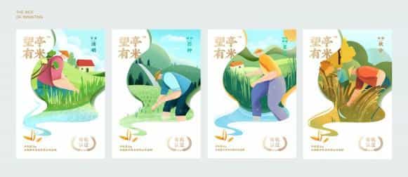 大米包装这样设计,才能吸引消费者注意25图 第3张 大米包装这样设计,才能吸引消费者注意25图 第3张