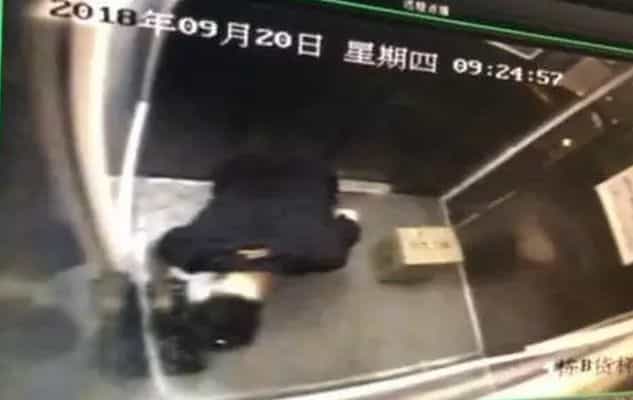 男子捡到一个编织袋,打开一看...立刻报警 第4张 男子捡到一个编织袋,打开一看...立刻报警 第4张