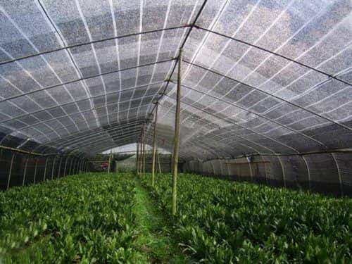 塑料编织袋的7大应用范围 第2张 塑料编织袋的7大应用范围 第2张