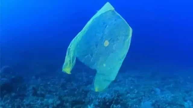 发明塑料袋其实是为了拯救地球! 第10张 发明塑料袋其实是为了拯救地球! 第10张