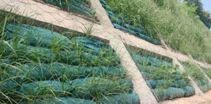 框架护坡植生袋 第2张 框架护坡植生袋 第2张