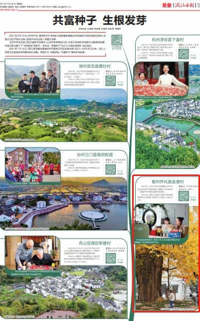 浙江日报_共富种子生根发芽 第1张 浙江日报_共富种子生根发芽 第1张