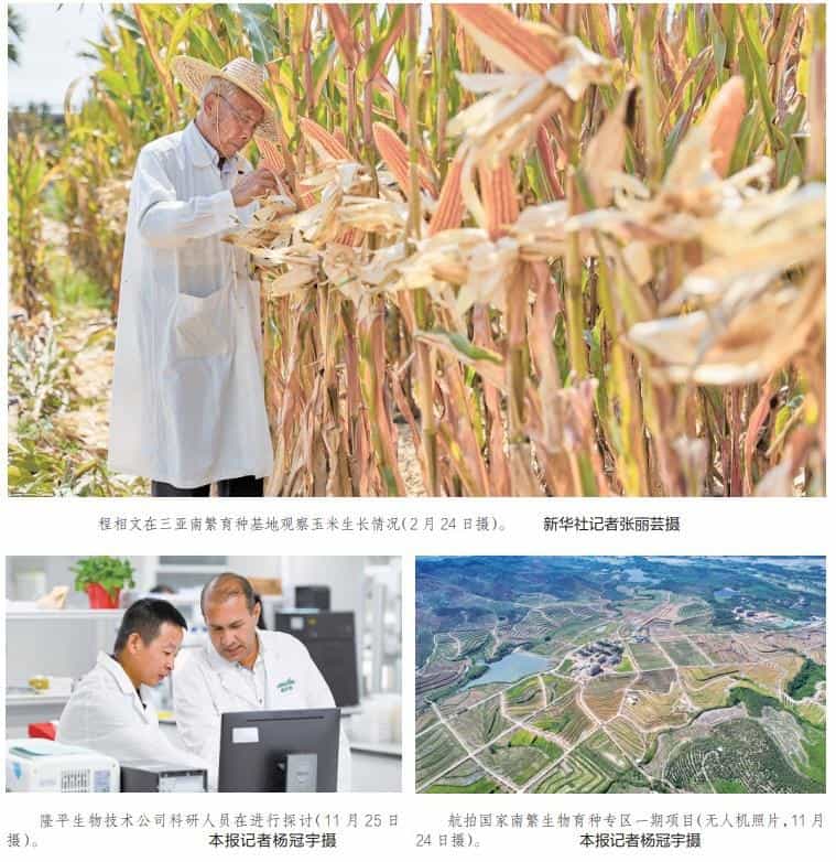 “一粒种子改变一个世界”记北纬十八度上的“追光”者 第1张 “一粒种子改变一个世界”记北纬十八度上的“追光”者 第1张
