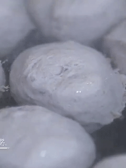 一周吃2次,补铁补血,长得壮!淀粉≤1%,减盐90%的纯牛肉丸,终于找到你 第48张 一周吃2次,补铁补血,长得壮!淀粉≤1%,减盐90%的纯牛肉丸,终于找到你 第48张