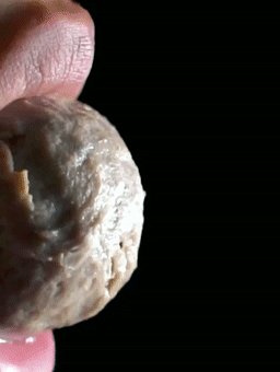 一周吃2次,补铁补血,长得壮!淀粉≤1%,减盐90%的纯牛肉丸,终于找到你 第49张 一周吃2次,补铁补血,长得壮!淀粉≤1%,减盐90%的纯牛肉丸,终于找到你 第49张
