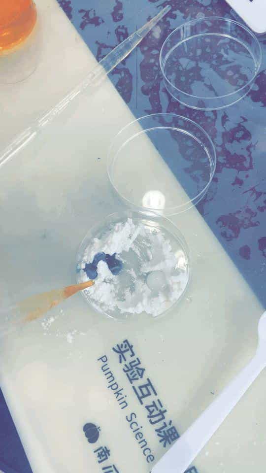 这个「家庭STEAM神器」性价比炸裂!孩子动手又动脑,一下省了上万块 第37张 这个「家庭STEAM神器」性价比炸裂!孩子动手又动脑,一下省了上万块 第37张