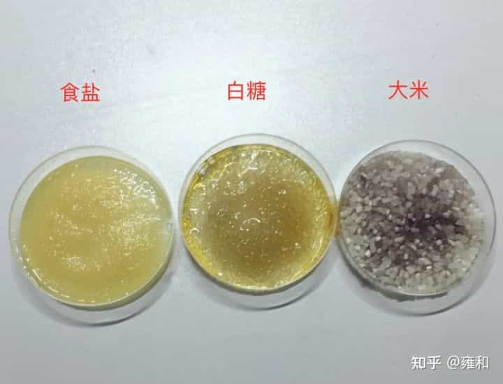 这个「家庭STEAM神器」性价比炸裂!孩子动手又动脑,一下省了上万块 第39张 这个「家庭STEAM神器」性价比炸裂!孩子动手又动脑,一下省了上万块 第39张
