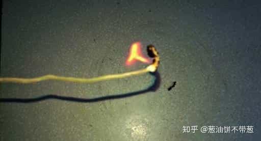 如何辨别粉条的真假?快来看看这几招,轻松辨别真假粉条 第6张 如何辨别粉条的真假?快来看看这几招,轻松辨别真假粉条 第6张