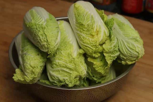 入冬要多吃粉条,教你做猪肉炖粉条,鲜香美味,好吃又解馋 第1张 入冬要多吃粉条,教你做猪肉炖粉条,鲜香美味,好吃又解馋 第1张