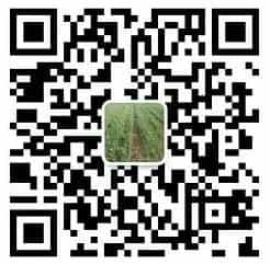 原生态的石磨面粉,是怎样的一种存在! 第6张 原生态的石磨面粉,是怎样的一种存在! 第6张