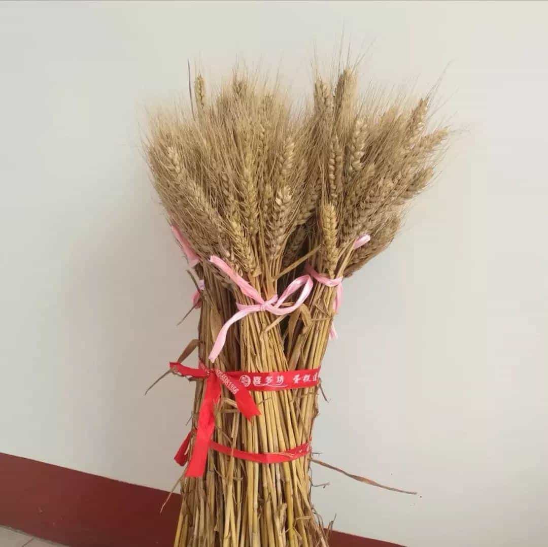 原生态的石磨面粉,是怎样的一种存在! 第8张 原生态的石磨面粉,是怎样的一种存在! 第8张
