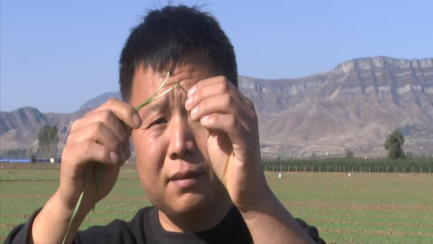 断腿小伙深山磨面年销百万娶娇妻干大事正常人仰慕无比 第1张 断腿小伙深山磨面年销百万娶娇妻干大事正常人仰慕无比 第1张