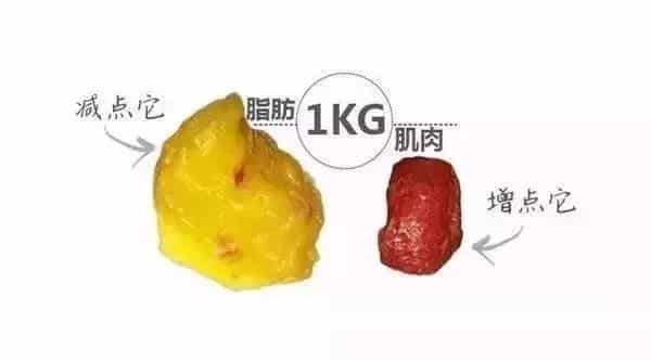 日本二胎妈妈减肥前后仅相差2.5kg,网友却说:这是减了25斤吧! 第100张 日本二胎妈妈减肥前后仅相差2.5kg,网友却说:这是减了25斤吧! 第100张