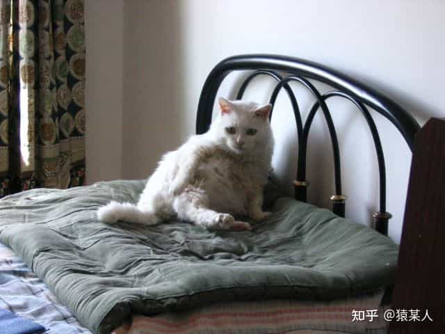 猿某人评测:仅需2999的统帅10kg 正反转热泵式干衣机烘干机 第5张 猿某人评测:仅需2999的统帅10kg 正反转热泵式干衣机烘干机 第5张