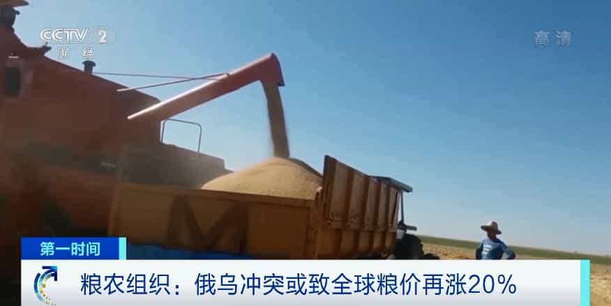北非民众“恐慌性”囤面粉!联合国粮农组织:俄乌冲突或致全球粮价再涨20% 第4张 北非民众“恐慌性”囤面粉!联合国粮农组织:俄乌冲突或致全球粮价再涨20% 第4张