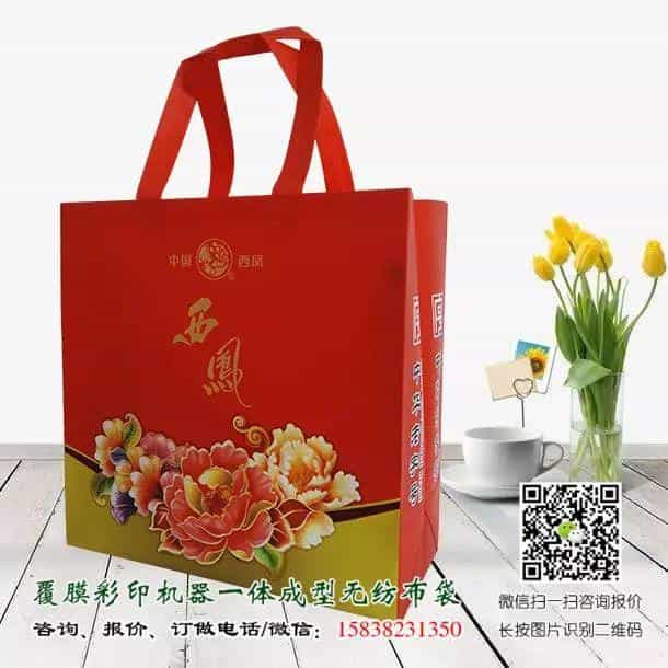 一次成型立体无纺布袋与手工缝纫手提袋的区别(附视频及产品展示) 第13张 一次成型立体无纺布袋与手工缝纫手提袋的区别(附视频及产品展示) 第13张