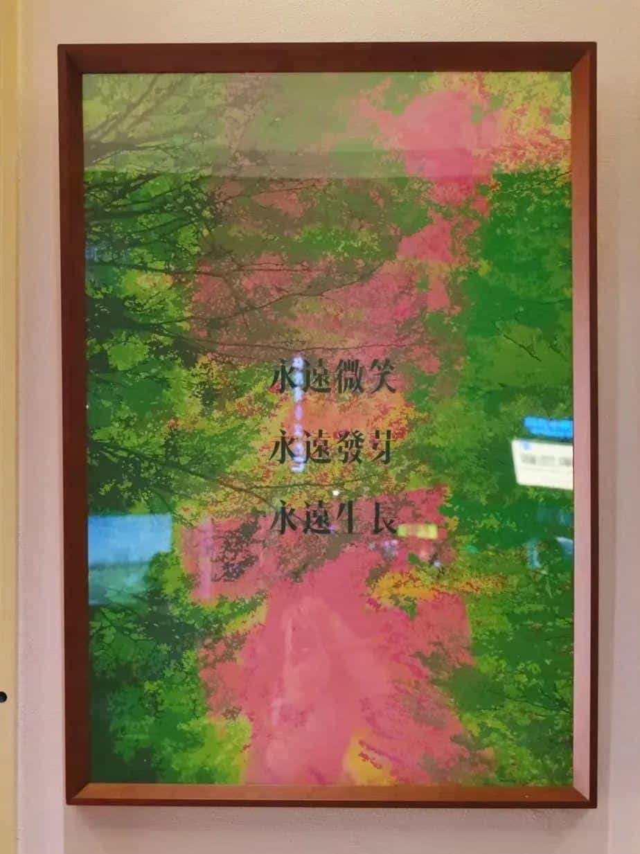 【四月新竹】周末邀你一起用手感触春天 第9张 【四月新竹】周末邀你一起用手感触春天 第9张