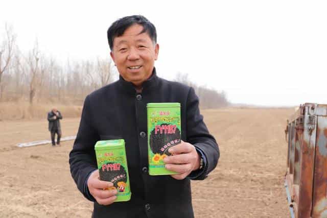 庆云县严务乡黄邱小米铺就金灿灿的致富路 第6张 庆云县严务乡黄邱小米铺就金灿灿的致富路 第6张