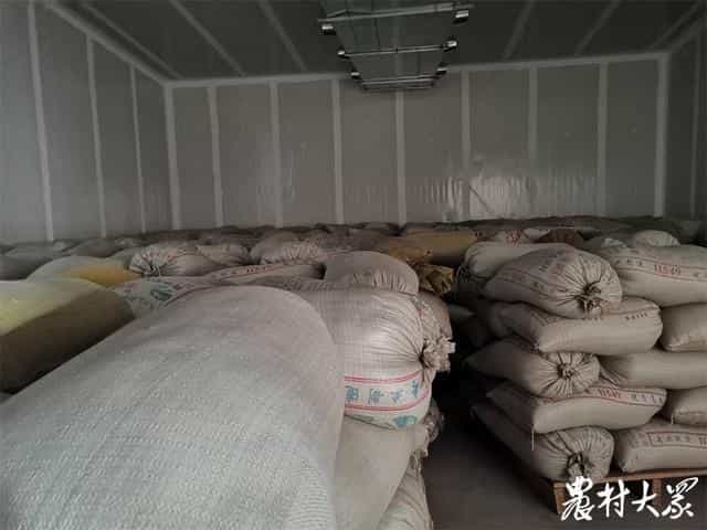 从前农民自家种,如今全镇齐发展!万亩金谷这里生“金” 第3张 从前农民自家种,如今全镇齐发展!万亩金谷这里生“金” 第3张
