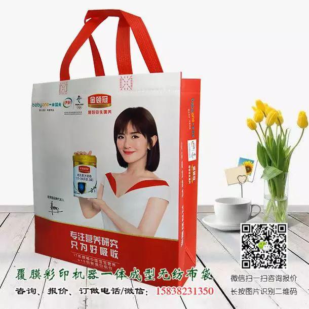 一次成型立体无纺布袋与手工缝纫手提袋的区别(附视频及产品展示) 第11张 一次成型立体无纺布袋与手工缝纫手提袋的区别(附视频及产品展示) 第11张