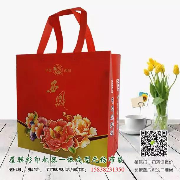 一次成型立体无纺布袋与手工缝纫手提袋的区别(附视频及产品展示) 第13张 一次成型立体无纺布袋与手工缝纫手提袋的区别(附视频及产品展示) 第13张