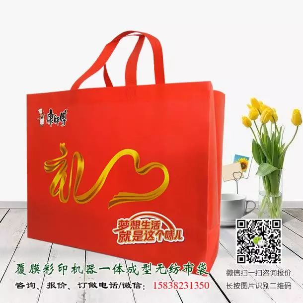 一次成型立体无纺布袋与手工缝纫手提袋的区别(附视频及产品展示) 第15张 一次成型立体无纺布袋与手工缝纫手提袋的区别(附视频及产品展示) 第15张