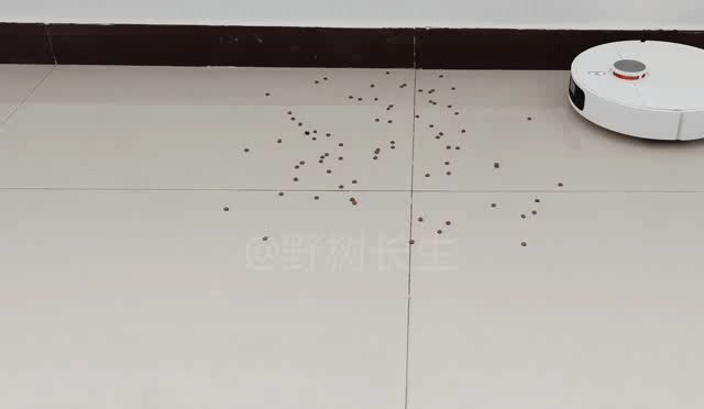 小米全能扫拖机器人详细测评|一款卷到极致的全能扫拖机器人 第16张 小米全能扫拖机器人详细测评|一款卷到极致的全能扫拖机器人 第16张