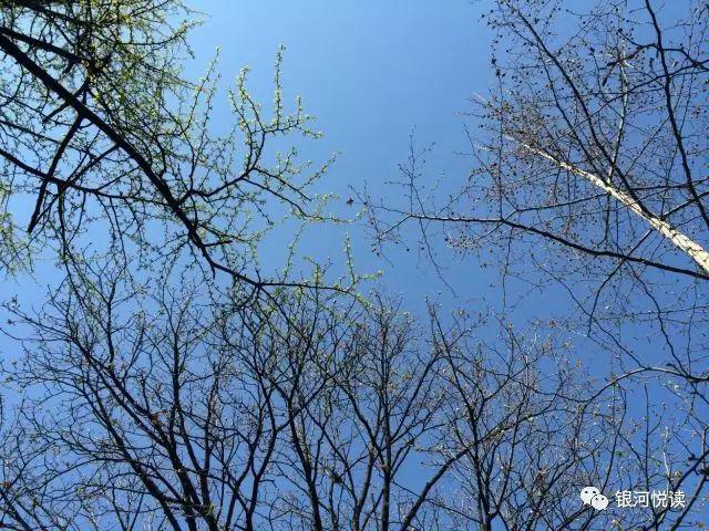 散文 | 吴咏湘:忆修水 ——吴咏湘将军回忆录(三) 第3张 散文 | 吴咏湘:忆修水 ——吴咏湘将军回忆录(三) 第3张