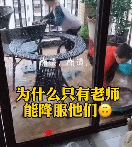 不敢生二胎之“拆家”系列:只要宝宝够努力,迟早家徒四壁 第8张 不敢生二胎之“拆家”系列:只要宝宝够努力,迟早家徒四壁 第8张