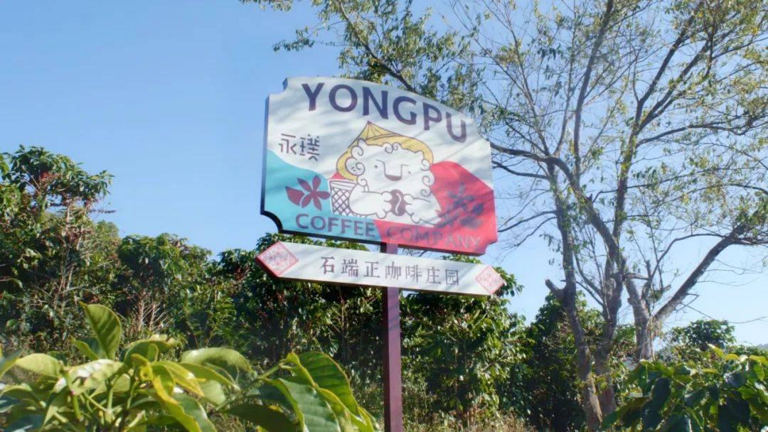 这些嘉定企业如何精心“研磨”好咖啡？  第1张